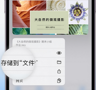 双清apple维修中心分享iPhone文件应用中存储和找到下载文件