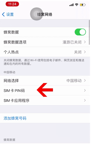 双清苹果14维修网分享如何给iPhone14的SIM卡设置密码 