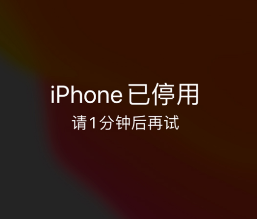 双清苹果手机维修分享:iPhone 显示“不可用”或“已停用”怎么办？还能保留数据吗？ 