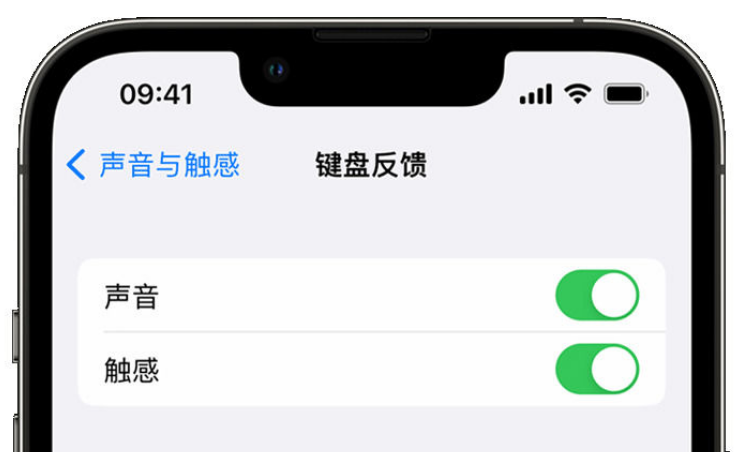 双清苹果手机维修分享iPhone 14触感键盘使用方法 