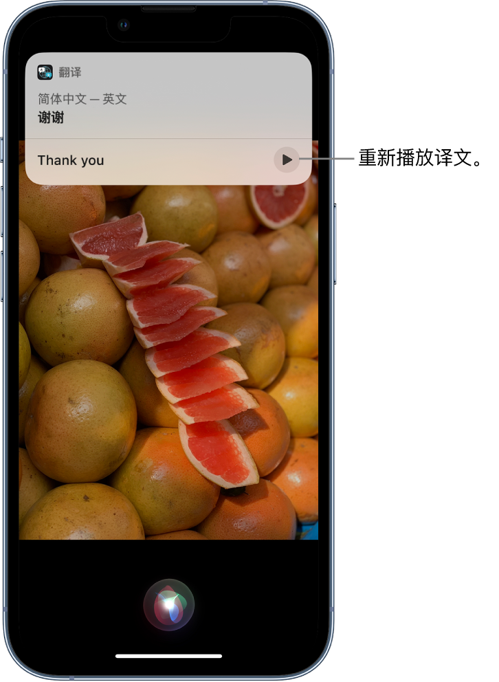 双清苹果14维修分享 iPhone 14 机型中使用 Siri：了解 Siri 能帮你做什么 