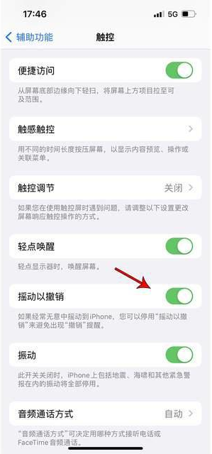 双清苹果手机维修分享iPhone手机如何设置摇一摇删除文字 