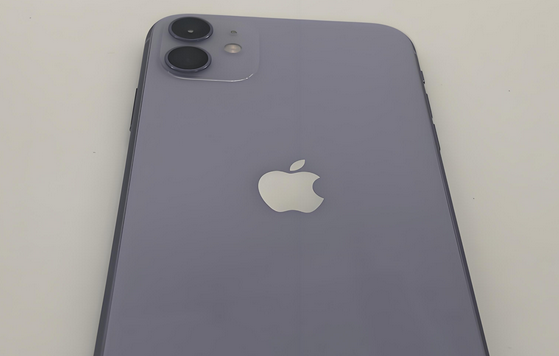 双清苹果11系统维修分享iPhone11手机系统崩溃无法开机如何解决